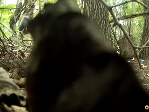 Девка в чулочках ссыт на природе (подглядывание)