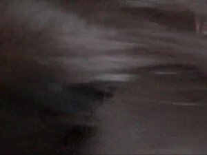 Девка лижет яйца парню в домашнем порно