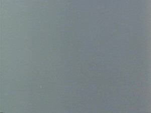 Kelly Nichols (Society Affairs) [1982].avi