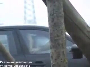Пацан проследил жену и увидел как ее долбит автомобилист